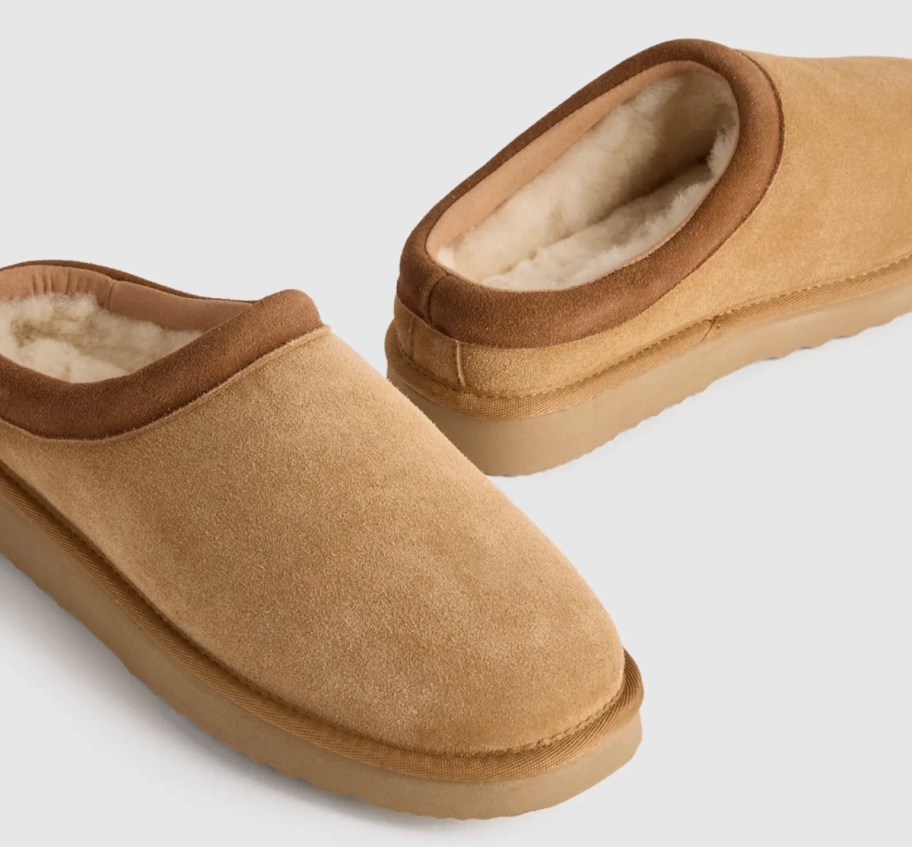 brown clog slippers stock photo