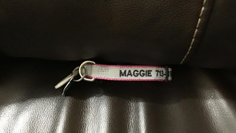 reflective dog collar on car seat