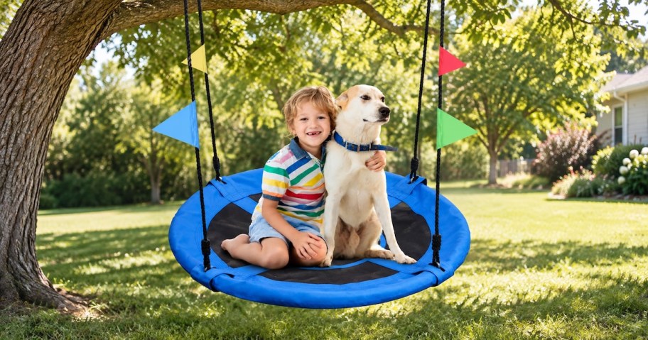 boy and dog on saucer tree swing in green yard with tree