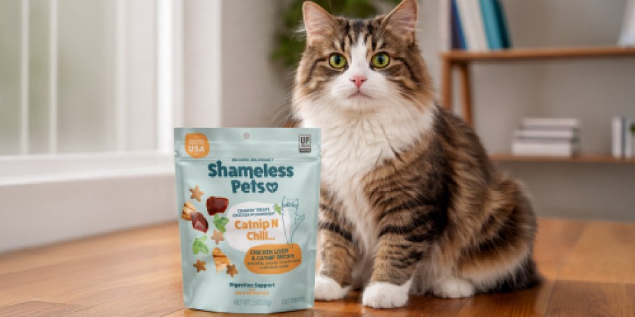 Shameless Pets Cat & Dog Treats from $1.59 Shipped on Amazon