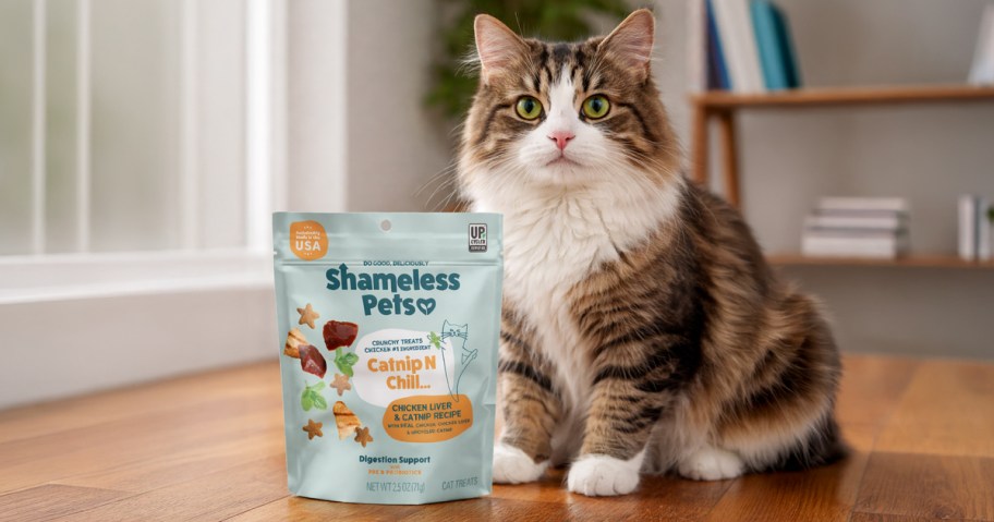 shameless pets cat treats