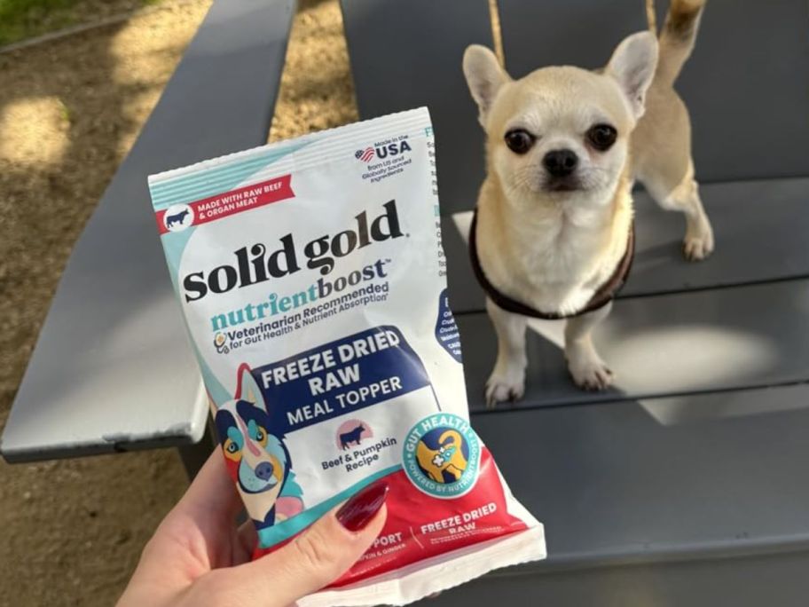 hand holding a bag of solid gold food topper infront of their dog