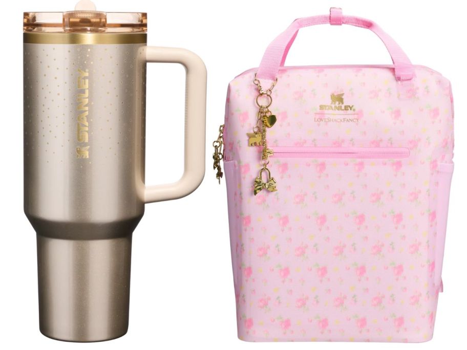 a stanley tumbler and cooler