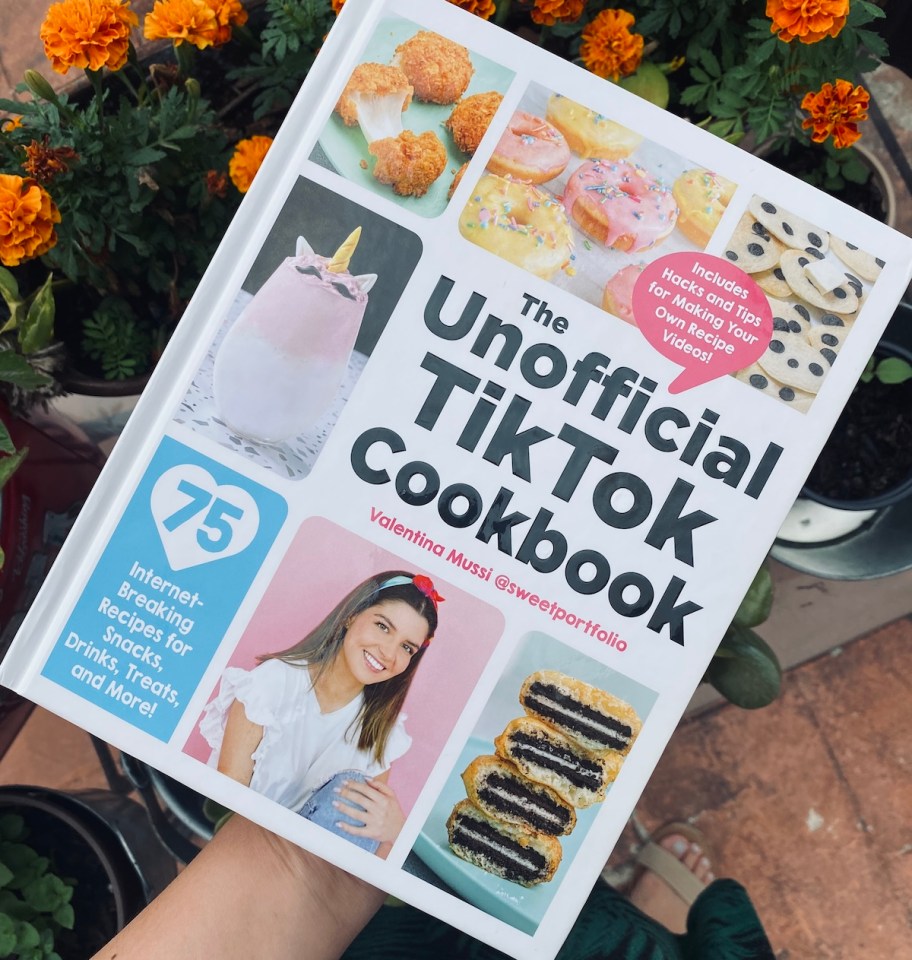 hand holding tiktok cookbook