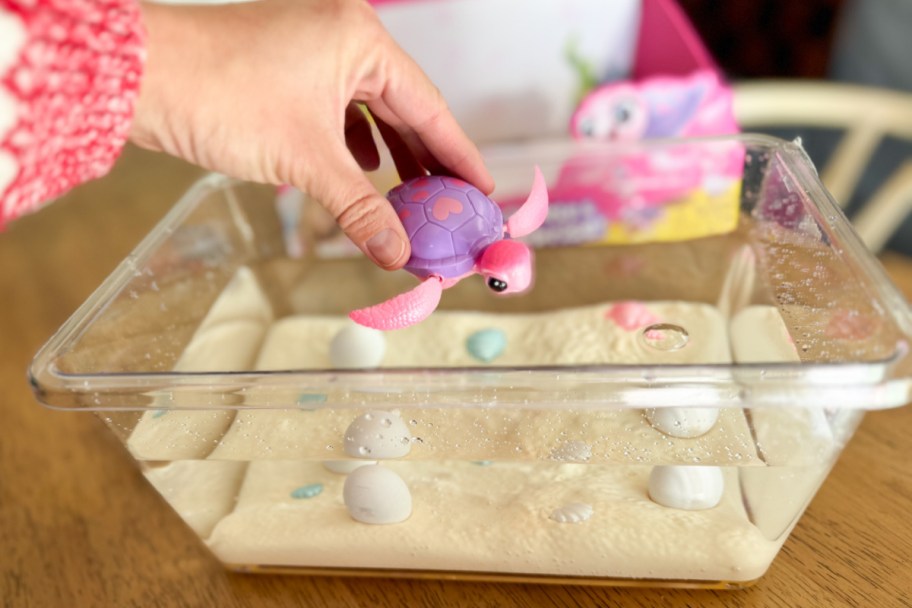hand putting toy turtle in fishtank