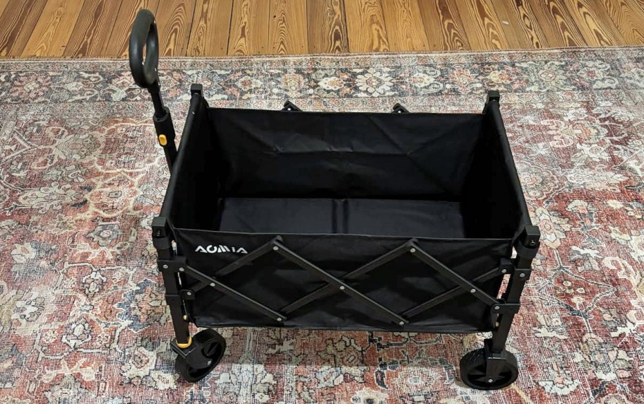 black folding wagon on a rug