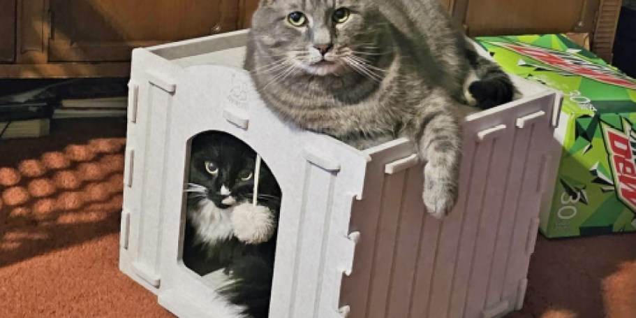 Foldable Cat House Just $14.99 on Amazon (Reg. $25)
