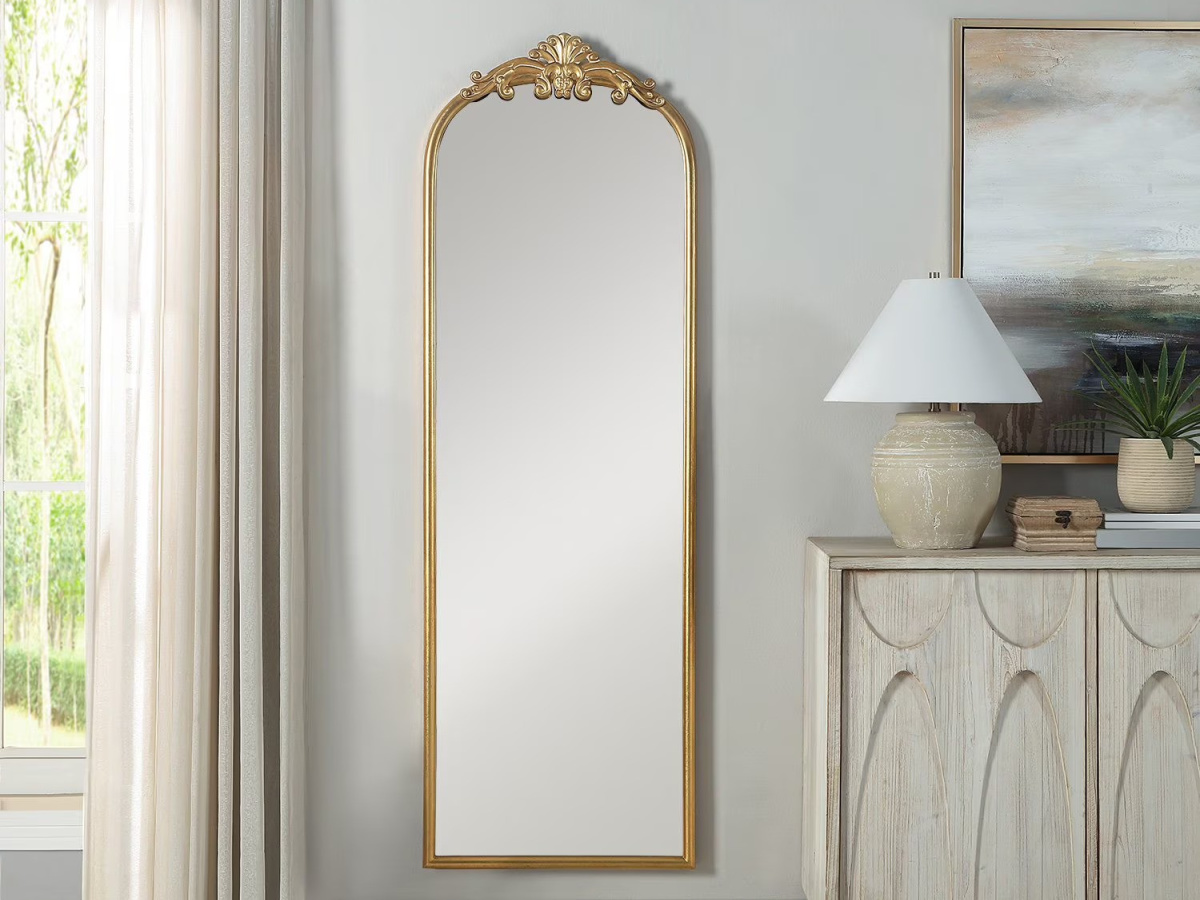 Sam S Club Anthropologie Mirror