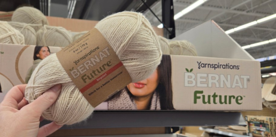 Crafters, It’s Time to Shop! Bernat Yarn Spotted at Walmart and Target