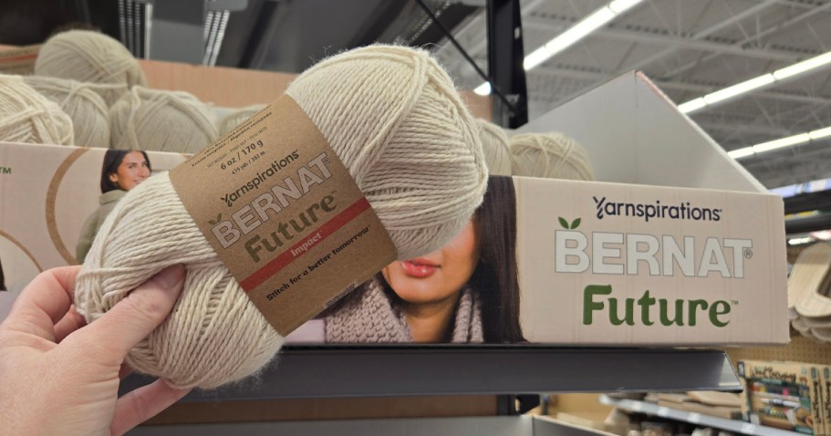 Bernat Yarn at Walmart or Target from $7.47 | Choose from Lots of Colors & Sizes!