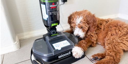 Score Huge Savings on the Bissell SpinWave Cordless Mop & Vacuum