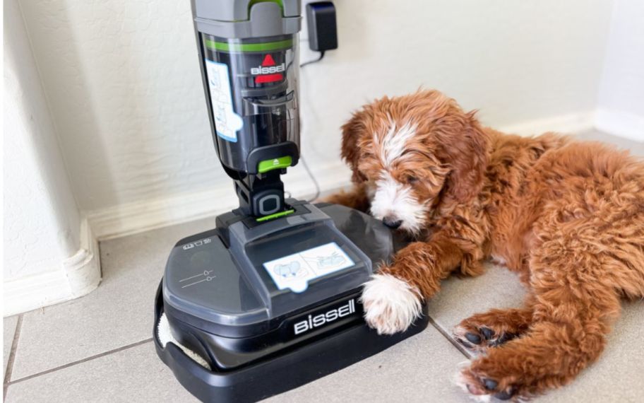 bissell vaccum and mop cleaner with dog next to it