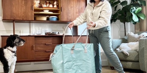 We Love These Collapsible Rolling Totes from Target and They’re On Sale Right Now