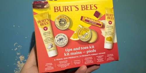 Burt’s Bees 6-Piece Gift Set Only $8.54 Shipped on Amazon (Reg. $15)