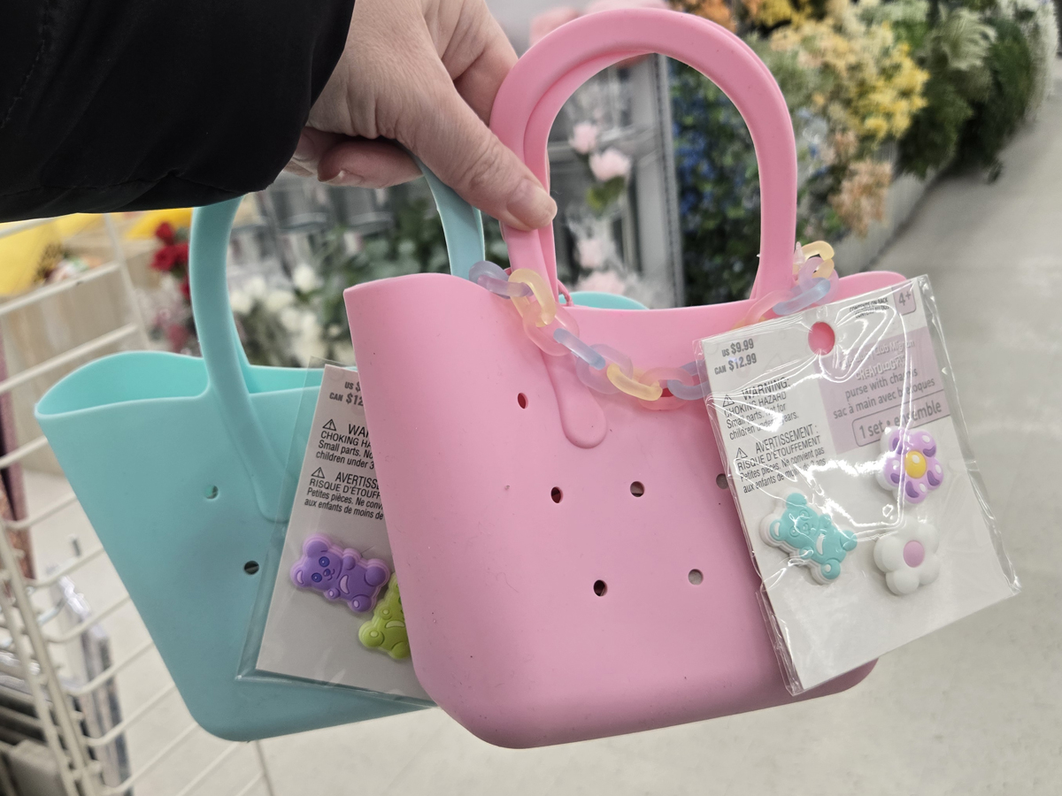Kids Creatology Purses from $7.99 at Michaels (Valentine or Easter Gift!)