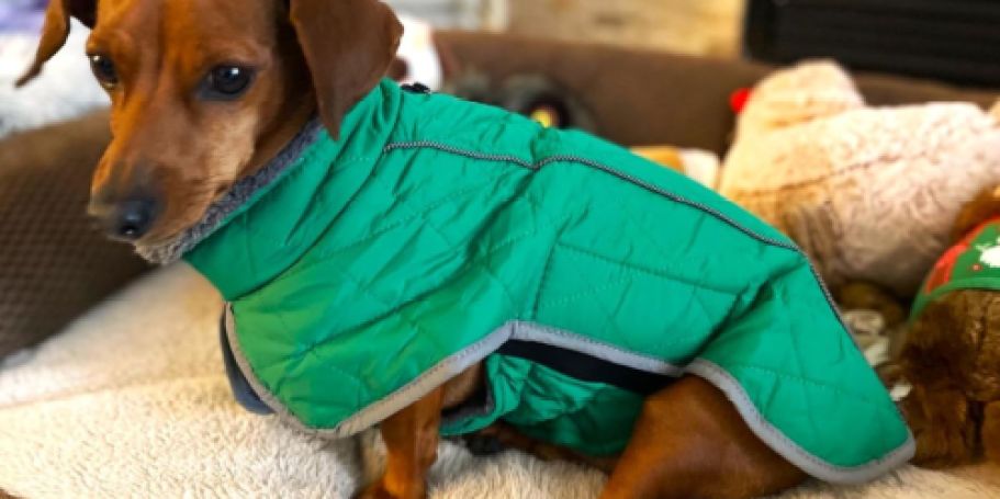 Water-Repellant Pet Coats from $13 on Amazon (Reg. $27)