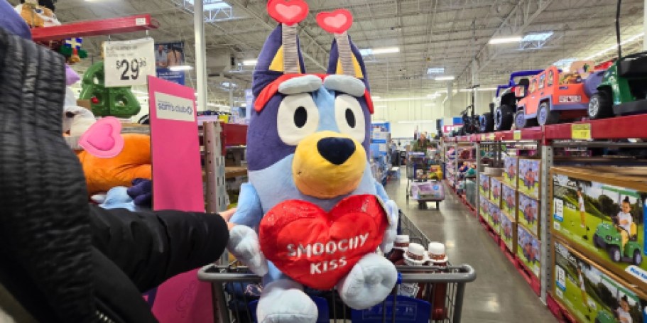Bluey Jumbo Valentine’s Plush Just $19.81 on SamsClub.com (Reg. $30)