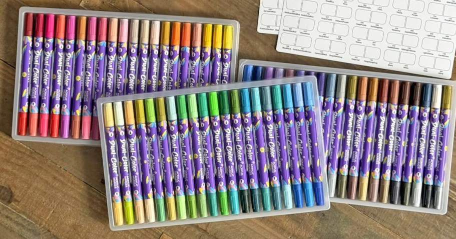 Dual-Tip Acrylic Paint Markers 60-Count Just $9.89 Shipped on Amazon (Reg. $24)