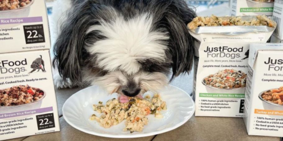 Just Food For Dogs Food Tasting Event TODAY from 2-4PM at Petco + More