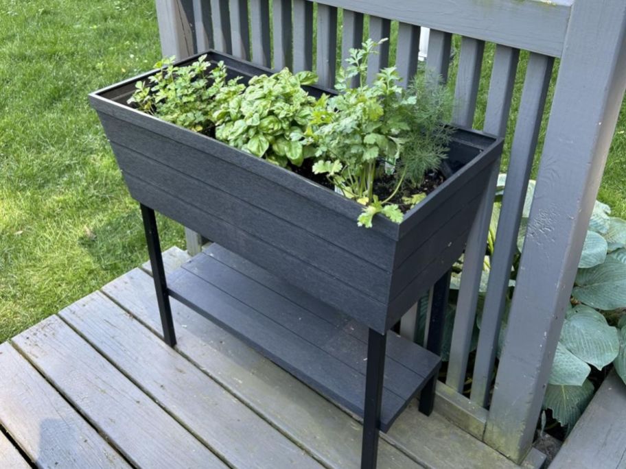 Keter raised garden bed on a deck