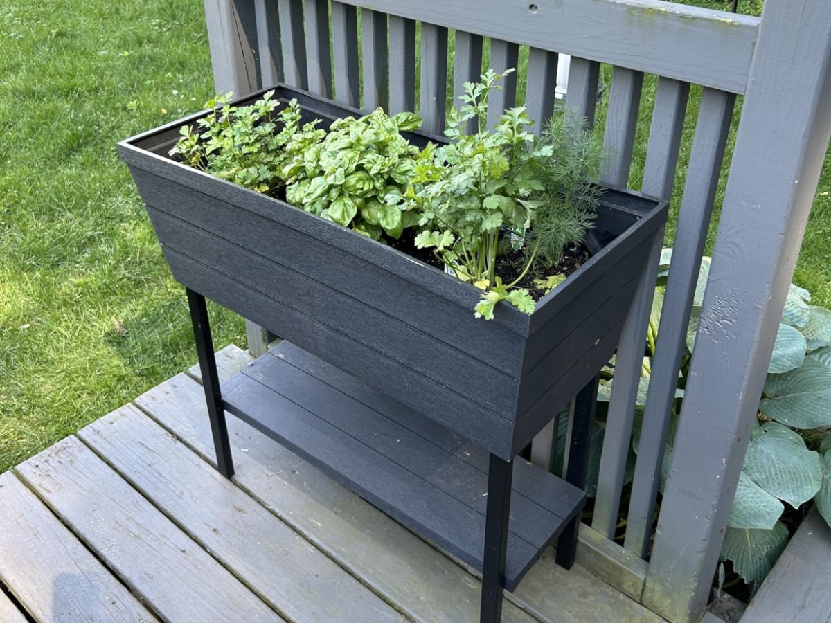 Raised Garden Bed w/ Self Watering Planter Just $46.99 Shipped on Wayfair.com