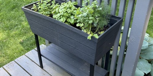 Self Watering Raised Garden Bed Just $46.99 Shipped on Amazon (Reg. $100)