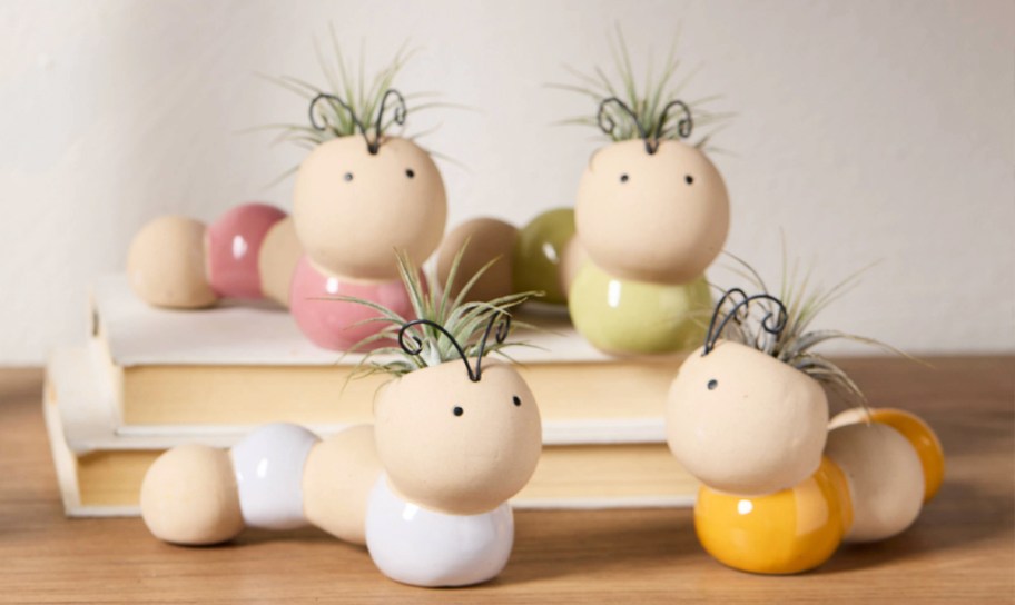 caterpillar air plants on a bookcase