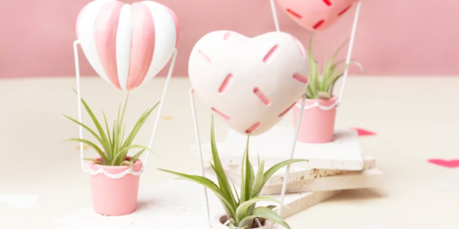 Lowe’s Daily Deals – Save on Cute Valentine’s House Plants