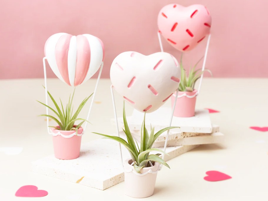 Lowe’s Daily Deals – Save on Cute Valentine’s House Plants