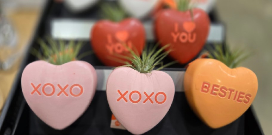 Lowe’s Daily Deals – Save on Cute Valentine’s House Plants