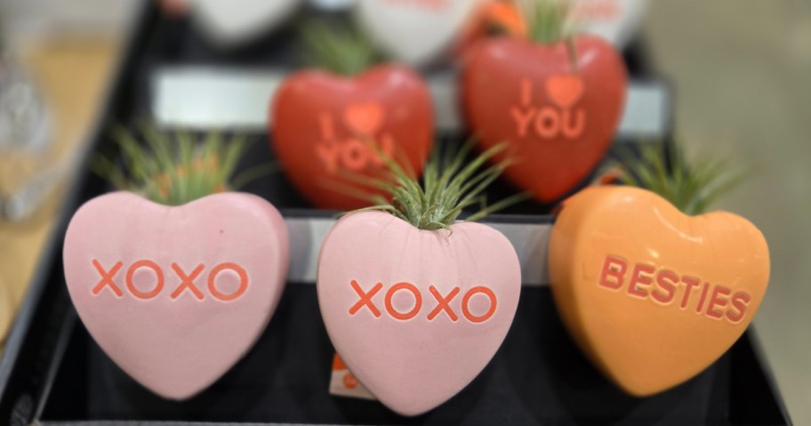 Heart-shaped Valentine's day plants on display in-store