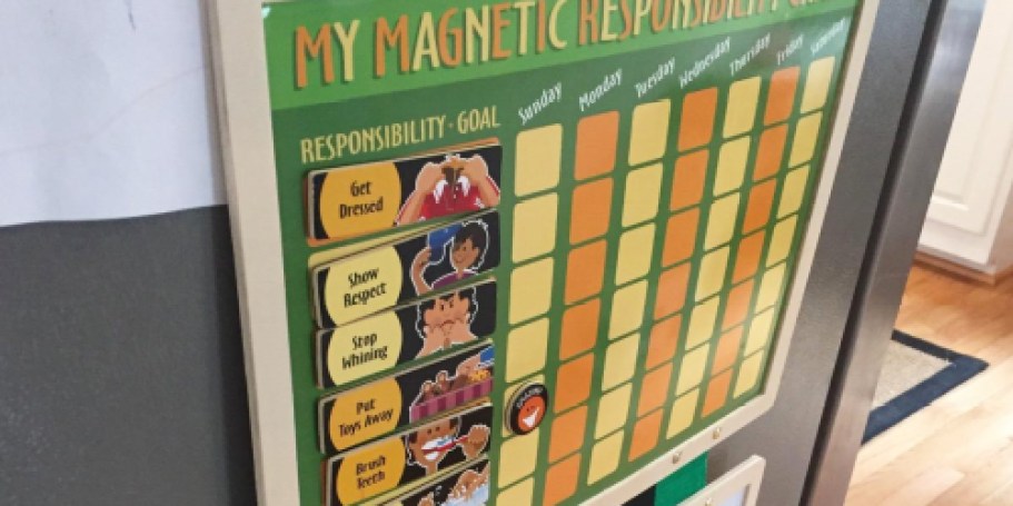 Melissa & Doug Responsibility Chart w/ 90 Magnets Only $11.80 on Amazon (Reg. $31)