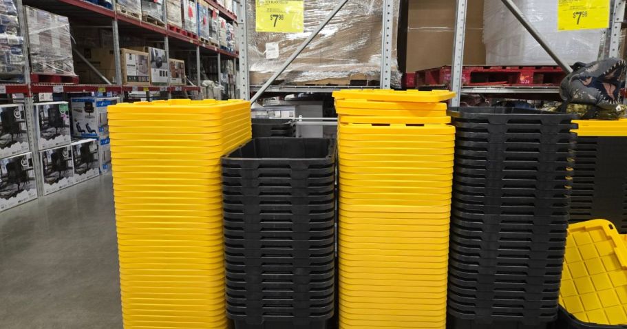 Last Day to Shop Sam’s Club Instant Savings | Score Storage, Grocery, & More