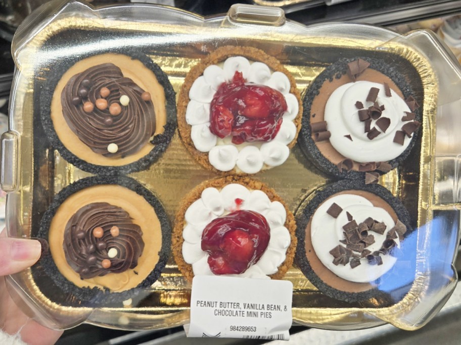 hand holding a 6-pack of mini pies