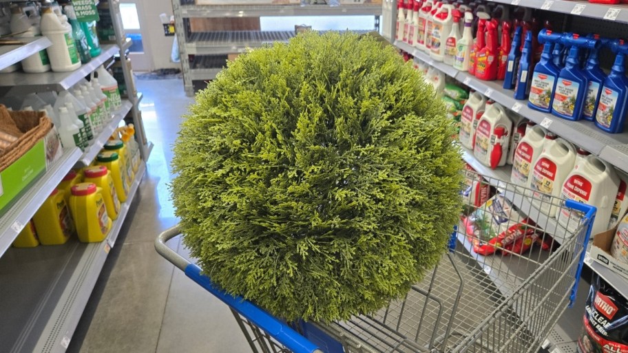 an artificial evergreen ball in a shopping cart