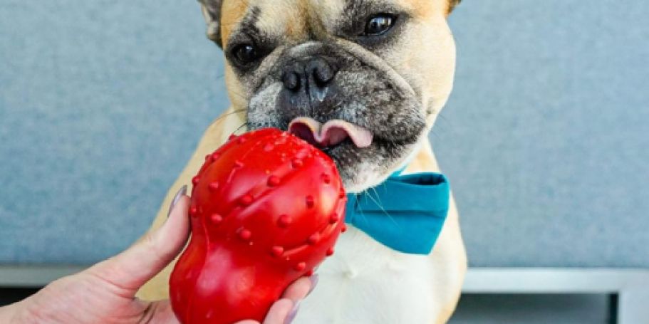 Over $21 Worth of Pet Supplies Just 2¢ Shipped for Prime Members