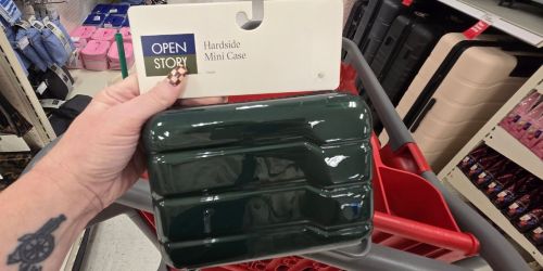 Price Drops on Viral Target Travel Accessories – Hardside Mini Case Just $10