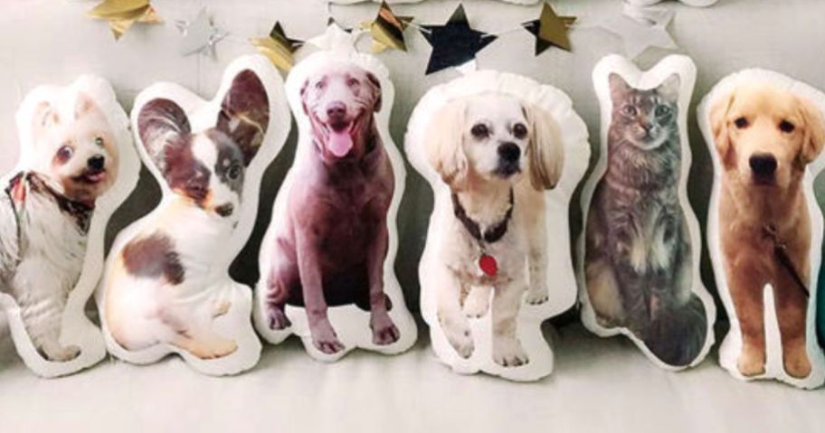 A couch with several cat and dog pet pillows from Groupon