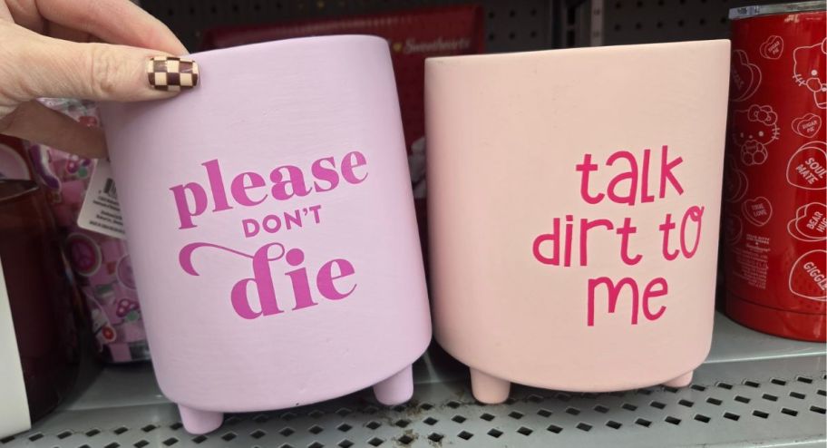 hand holding two different planters