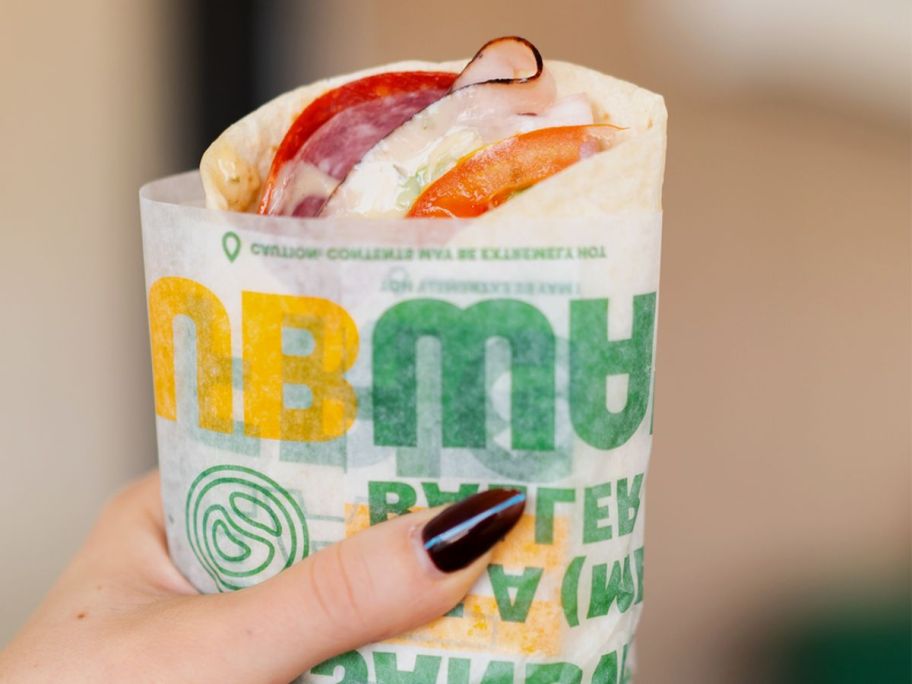 hand holding subway protein pockets