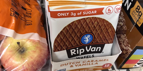 Rip Van Wafels Stroopwafel 12-Count Just $8.40 Shipped on Amazon (Low-Carb Snack!)