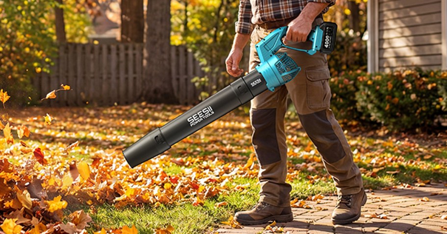 Cordless Leaf Blower w/ 2 Batteries & Charger Just $39.51 Shipped on Amazon (Reg. $100)