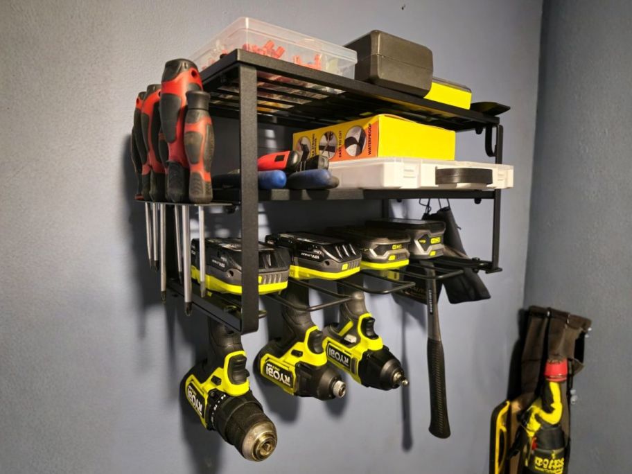 Wall-Mounted Storage Power Tool Organizer in garage
