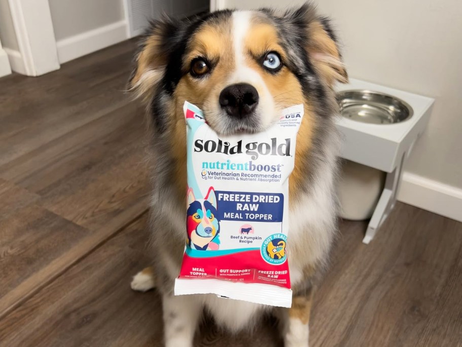 50% Off Solid Gold Dog Food Topper on Amazon