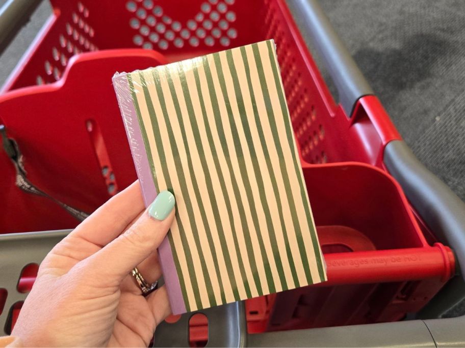 Striped Pocket Notebook in hand in store
