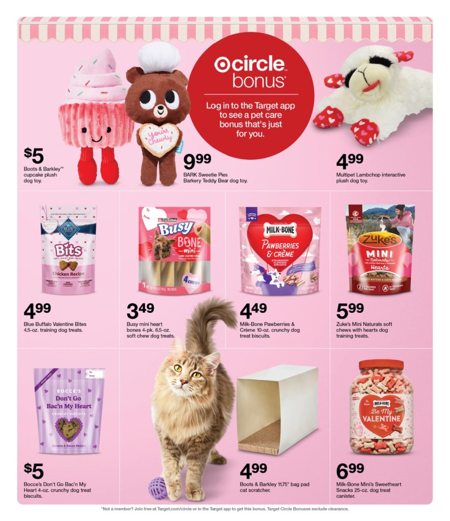 page from Target ad