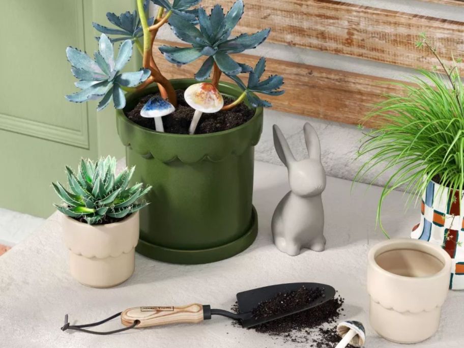 Small and Large Threshold Planters on a table with plants in them
