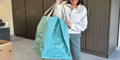 Target’s Collapsible Rolling Totes Is So Practical & Roomy – AND It’s Just $12!