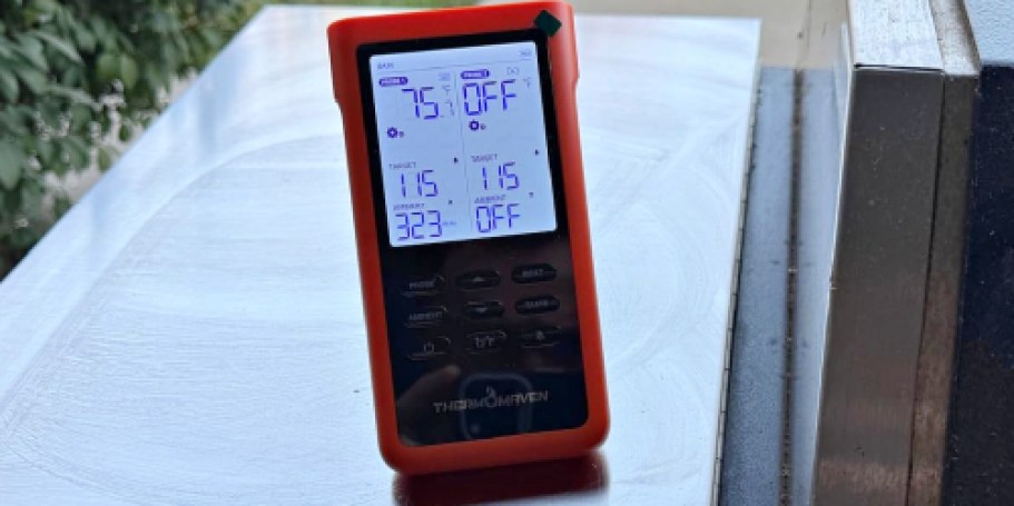 50% Off Wireless Smart Meat Thermometer on Amazon (Includes 2 Probes!)