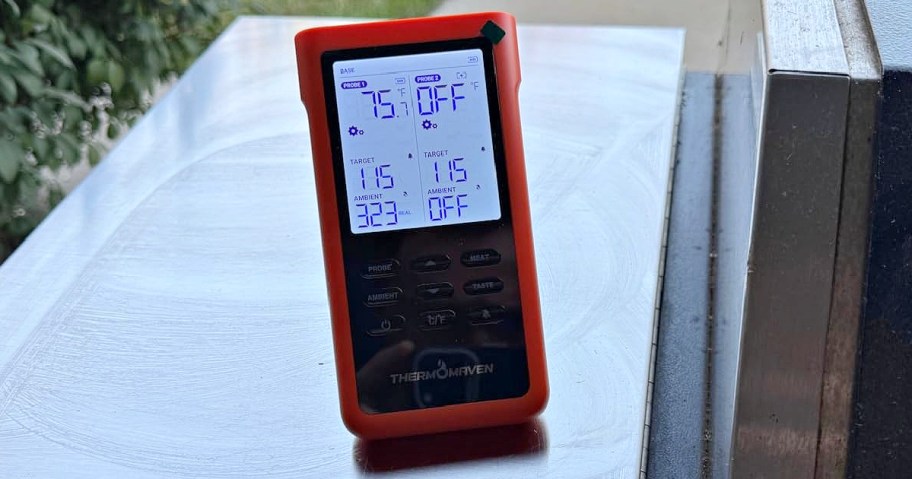 A red digital thermometer is displayed on a shiny surface, showing temperatures of 75&deg;F and 115&deg;F. Greenery is slightly visible in the background.